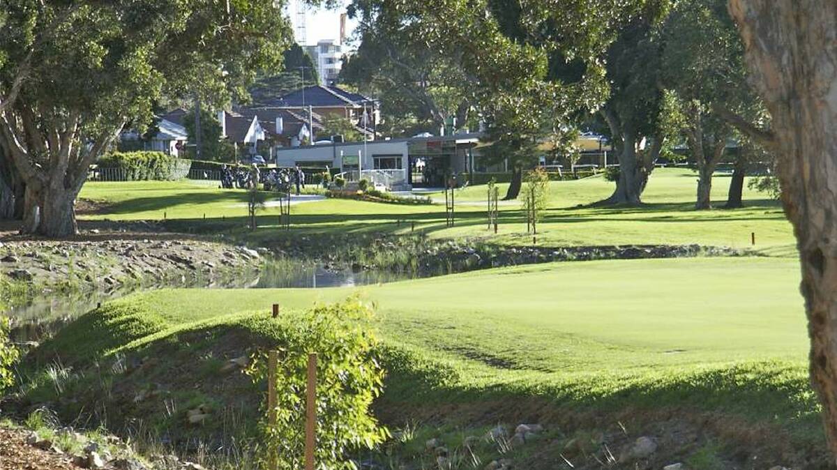 Partial reclamation of the Beverley Park Golf Course and/or Hurstville Golf Course could provides opportunities to deliver more open public open space.
