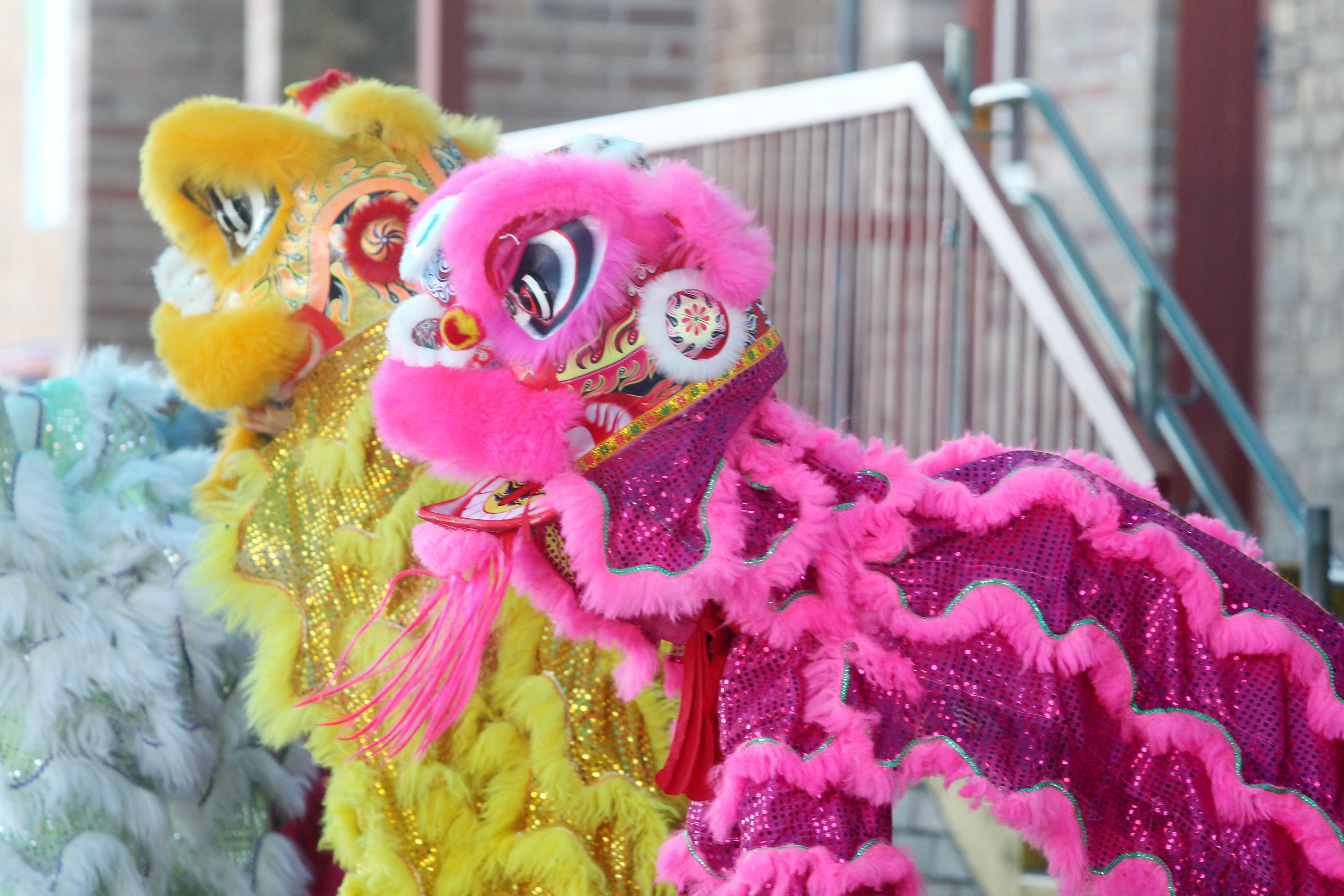 Annual Pink Bra Hoorah roars through Guntersville Saturday, News