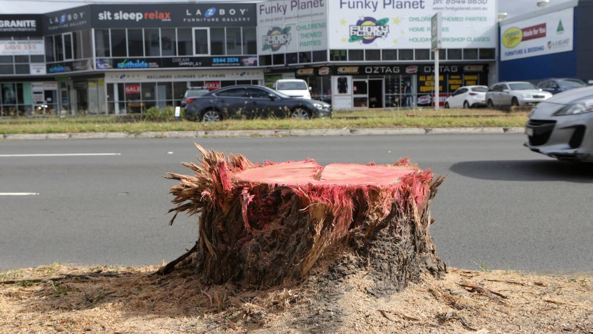 Tree loss in the shire needs analysis, says a reader. Picture by John Veage