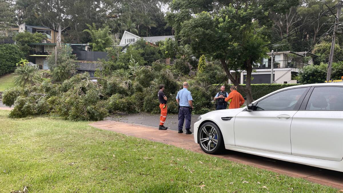 Police and SES volunteers were quickly on the scene to assess the situation and organise removal. Picture by Murray Trembath
