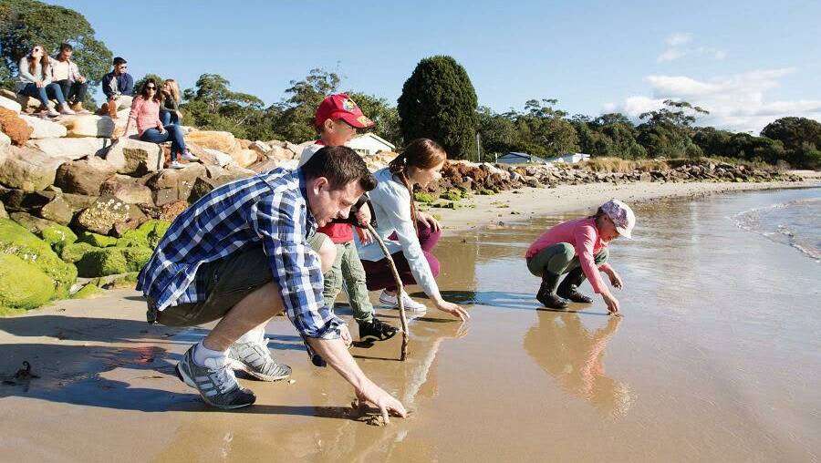 Royal National Park offers a range of school holiday activities. Picture NPWS