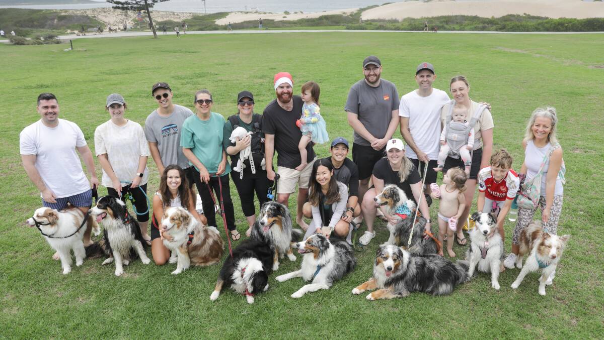 Australian Shepherds of the Sutherland Shire members and their dogs at a Christmas party at Greenhills Beach and Don Lucas Reserve. Picture by John Veage 