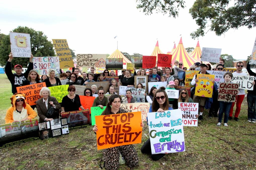 Protesters want ban on animal circus at Miranda | St George