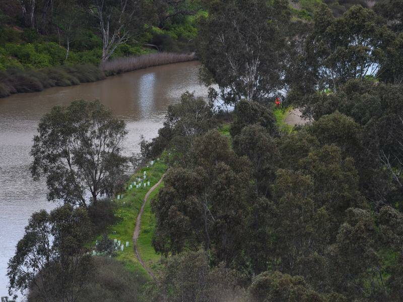 A woman's body was found in the Maribyrnong River on Sunday, and a 49-year-old has been charged. Photo: Tracey Nearmy/AAP PHOTOS