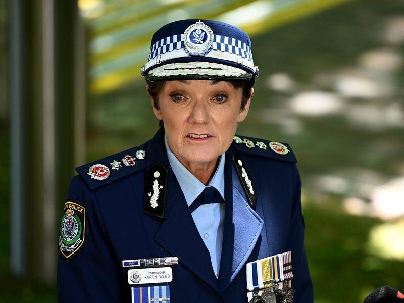 Karen Webb says there's been no cover-up of drink driving allegations against a senior officer. (Dan Himbrechts/AAP PHOTOS)