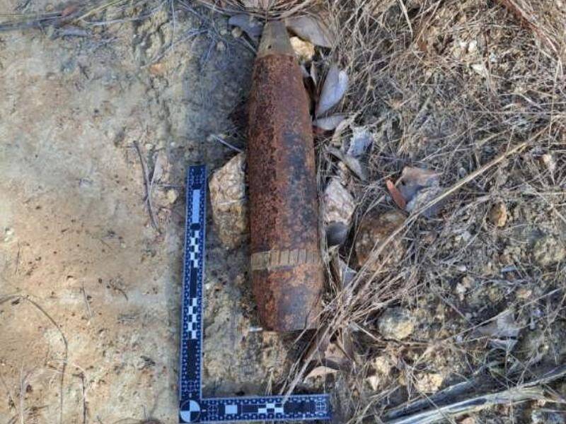 Three bombs from World War II have been round in Bilwon State Forest in Queensland. (HANDOUT/DEPARTMENT OF ENVIRONMENT AND SCIENCE)
