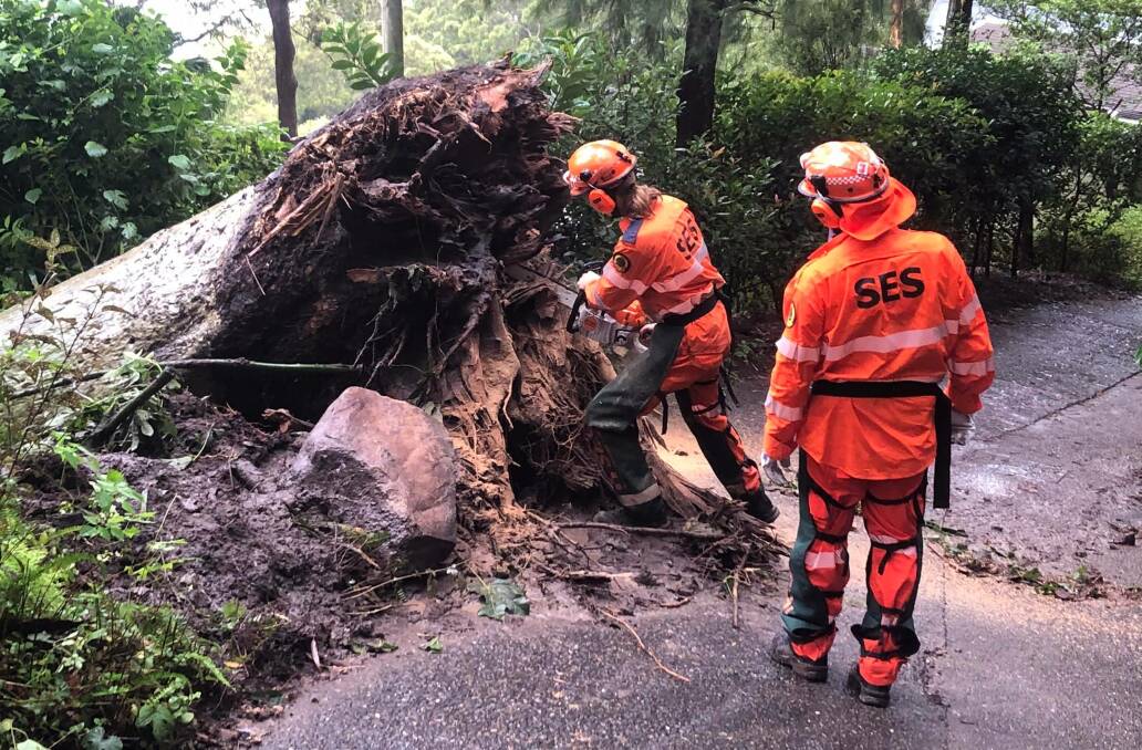 WEATHER WARNING: Damaging winds and heavy rainfall is predicted to bring more trees down on the northern beaches in coming days. Picture: SES Manly 